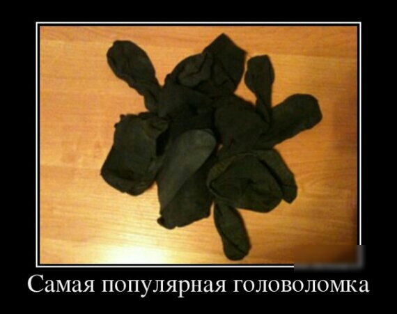 Самая популярная ГОЛОВОЛОЩа