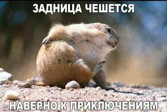 зддницд чешется при