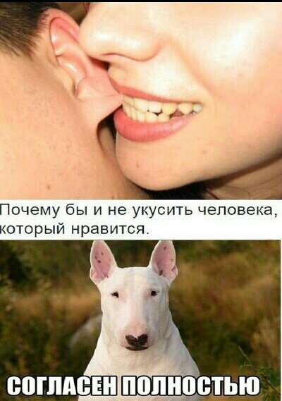 Почему бы и не укусить человека который нравится