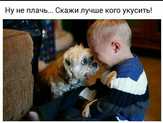 Ну не плачь Скажи лучше кого укусить