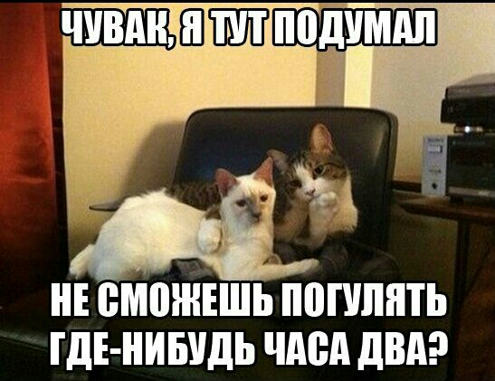 НЕ БМПЖЕШЬ ПВПШПТЬ ГДЕ НИБУДЬ ЧАСА двдэ