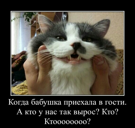 Когда бабушка приехала в гости А кто у нас так вырос Кто Ктоооооооо