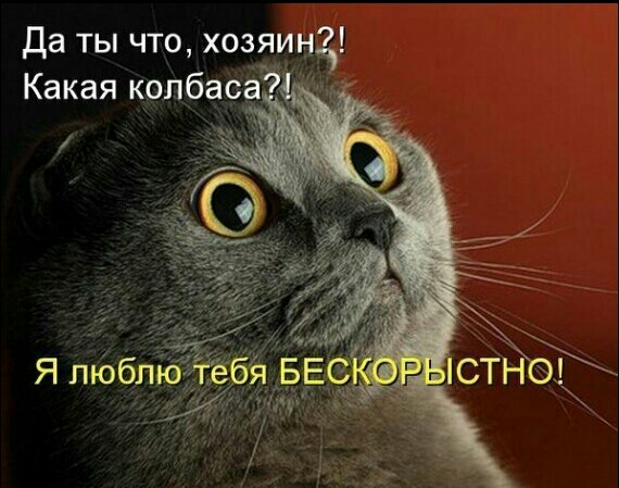 Да ты что хозяин Какая колбаса5