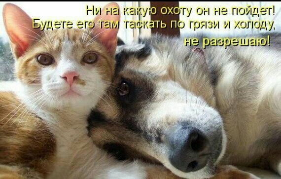 аку гаёкзть п грязи и холоду