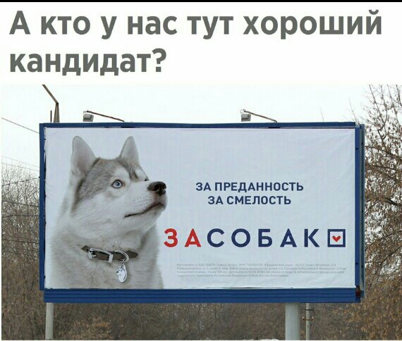 А кто у нас тут хороший кандидат ЗА ПРЕДАННПСТЬ ЗА СМЕЛОСТЬ