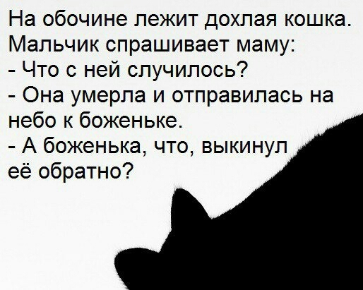 На обочине лежит дохлая кошка Мальчик спрашивает маму Что с ней случилось Она умерла и отправилась на небо к боженьке А боженька что выкинул её обратно