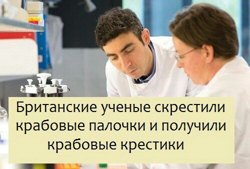 Британские ученые скрестили крабовые палочки и получили крабовые крестики п