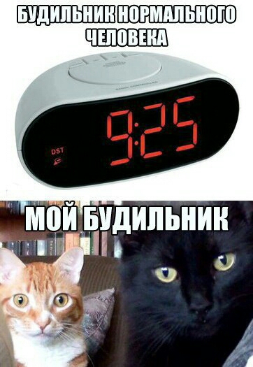 ШШПШШ ЧЕЛПВПШ
