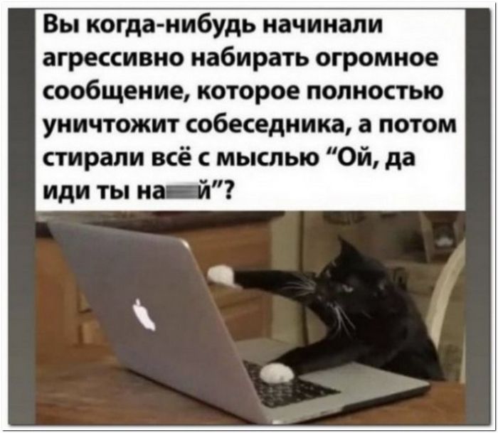 Вы когда нибудь начинали агрессивно набирать огромное сообщение которое полностью уничтожит собеседника а потом стирали всё с мыслью Ой да иди ты на іп