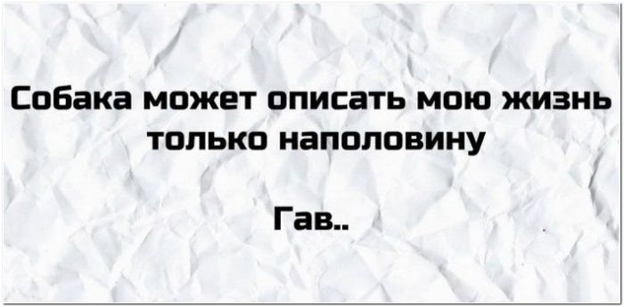 Собака может описать мою жизнь только наполовину Гав