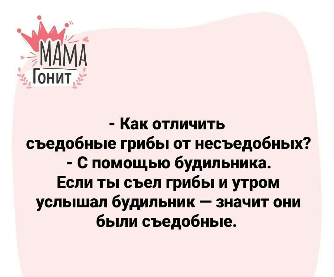 Гонит Как отличить съедобные грибы от несъедобных С помощью будильника Если ты съел грибы и утром услышал будильник значит они были съедобные