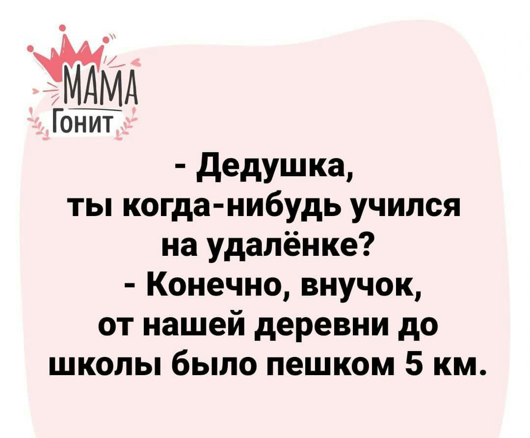 Гонт дедушка ты когда нибудь учился на удалёнке Конечно внучок от нашей деревни до школы было пешком 5 км