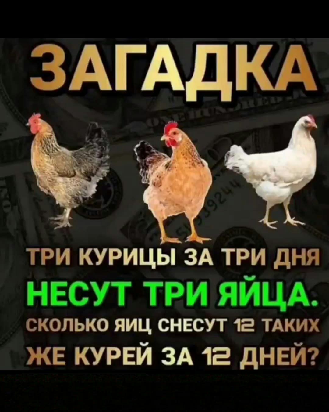 ЗАГАДКА ді ь ТРИ КУРИЦЫ ЗА ТРИ дня несут три яйцд СКОЛЬКО яиц СНЕСУТ 12  ТАКИХ же курвй ЗА 12 днвй - выпуск №1146901