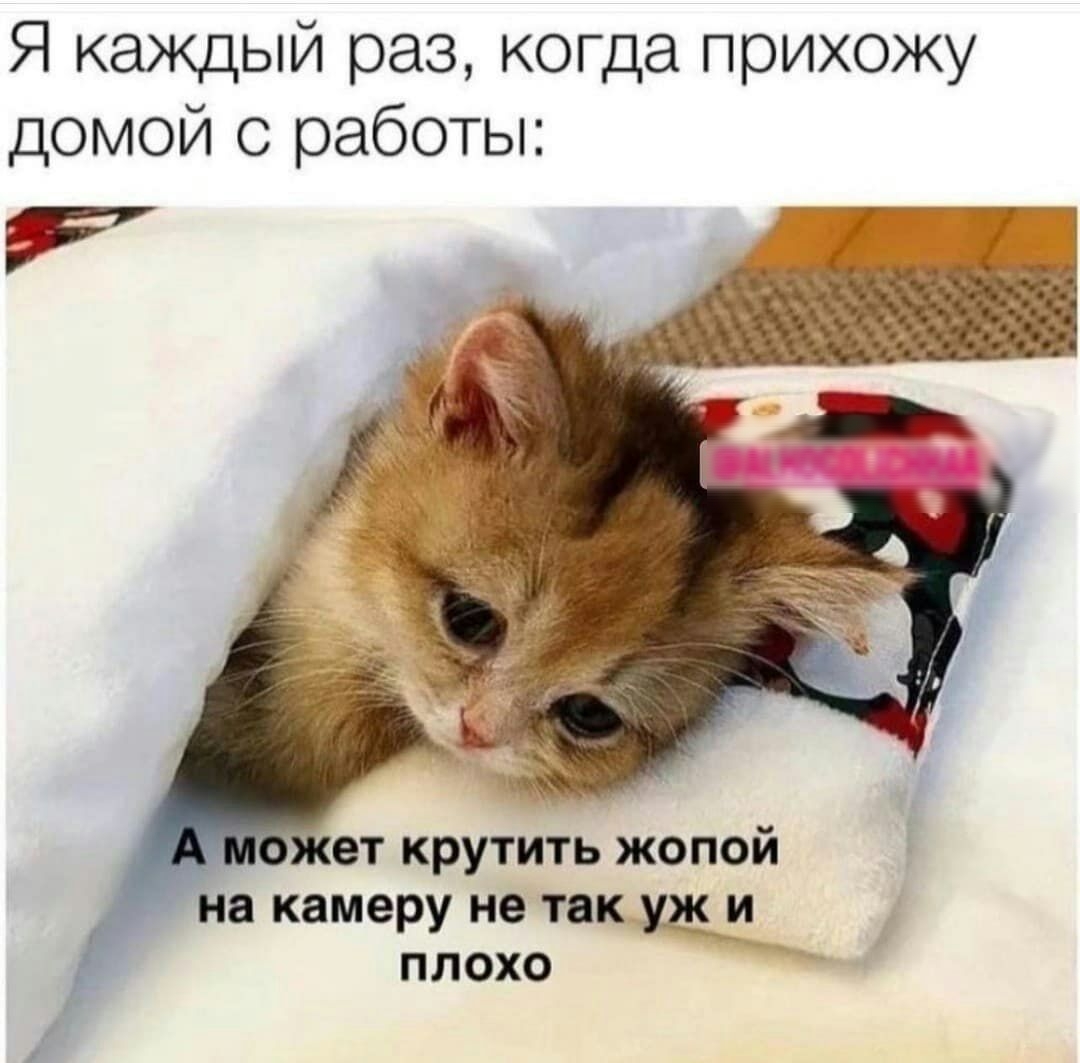 Я каждый раз когда прихожу домой с работы ЕТ КРУТИТЬ ЖОПОЙ а камеру не так щи ПЛОХО