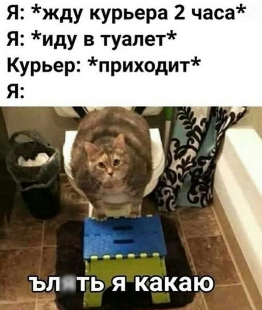 Я жду курьера 2 часа Я иду в туалет Курьер приходит Я ъл ТЬ я какаю