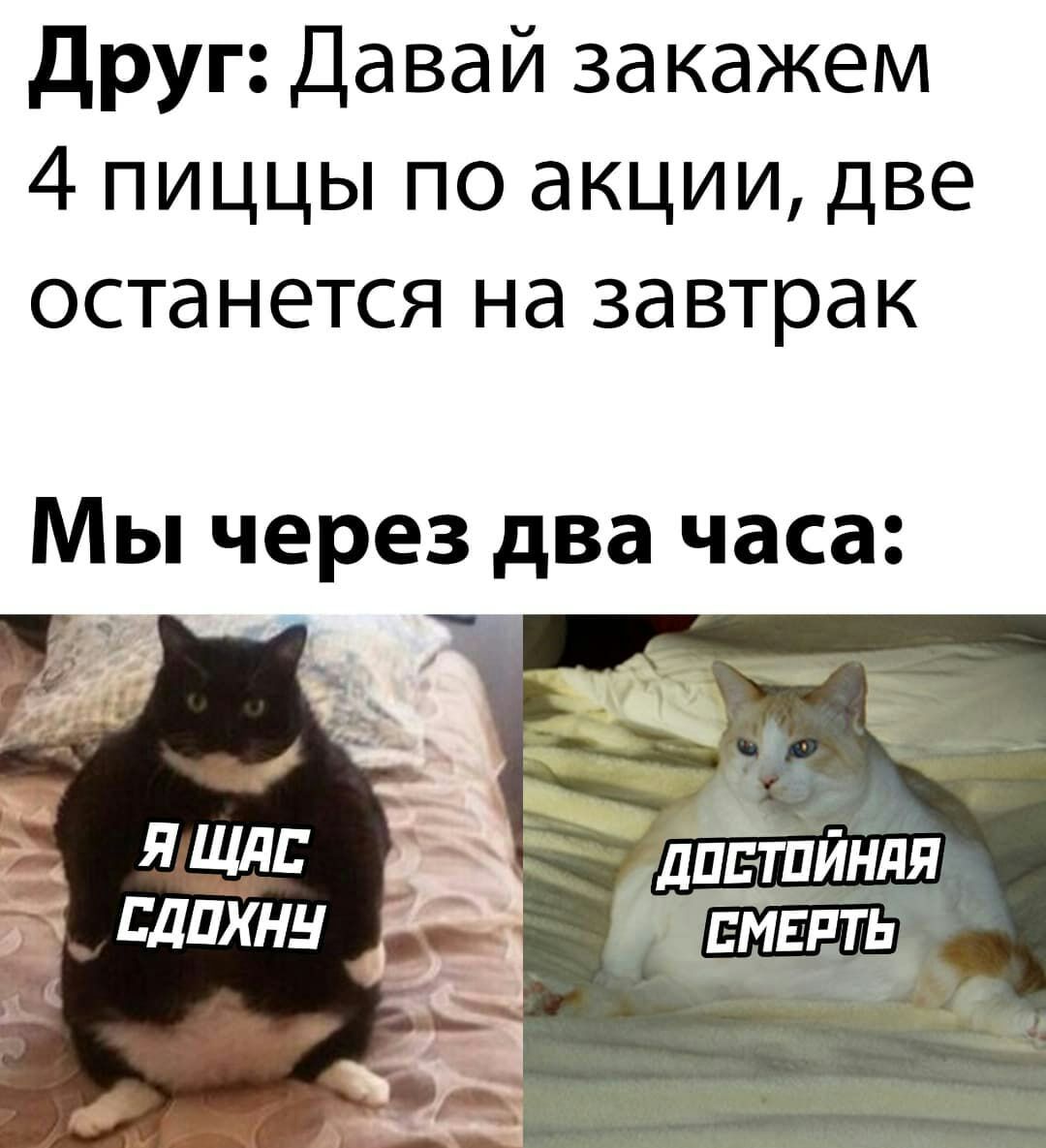 друг Давай закажем 4 пиццы по акции две останется на завтрак Мы через два часа
