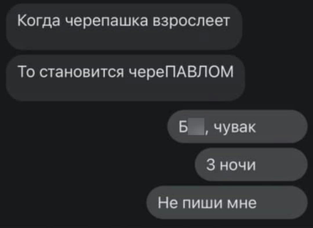 Когда черепашка взрослеет То становится череПАВЛОМ Не пиши мне