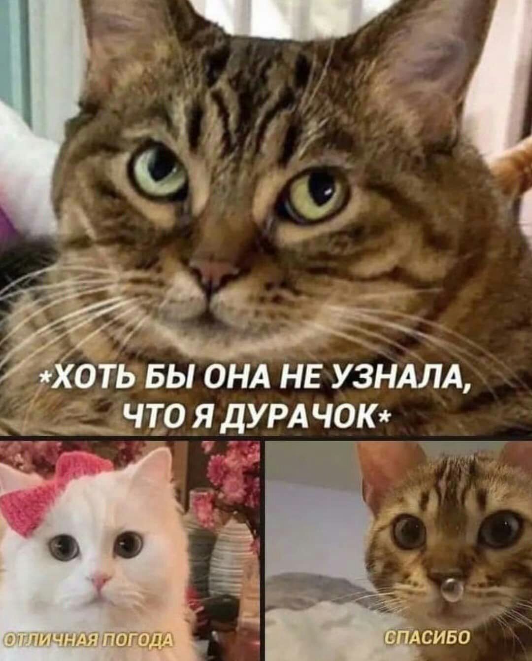 оть БЫ анд НЕ узндлд ЧТР дУРА чаю __