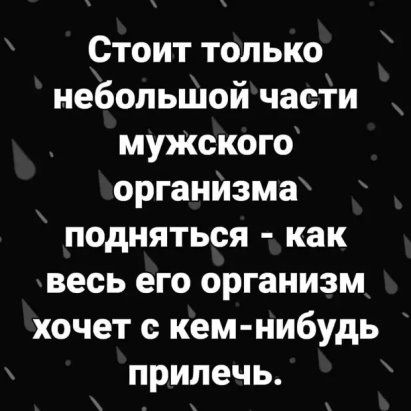 Стоит только небольшой части мужского организма подняться как весь его организм хочет с кем нибудь прилечь