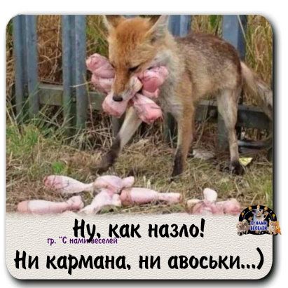 ущ дак назло Ни кармана ни авоськи