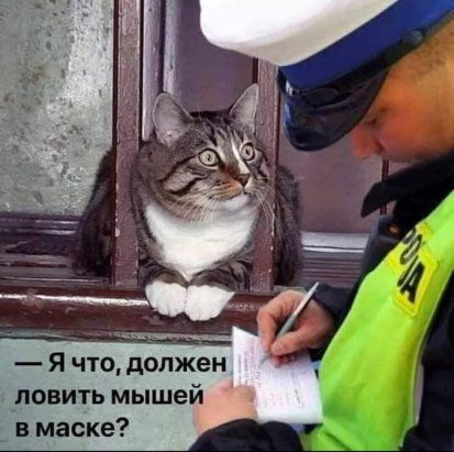 Я что должен ловить мышей в маске