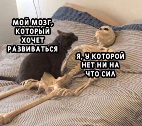 чаеммый