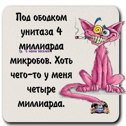 Под ободком унитаза ч М_мддшшдм микровов Хоть чего то у меня ЁЁ четыре пп мимиарш