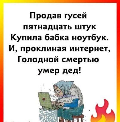 Продав гусей пятнадцать штук Купила бабка ноутбук И проклиная интернет Голодной смертью умер дед