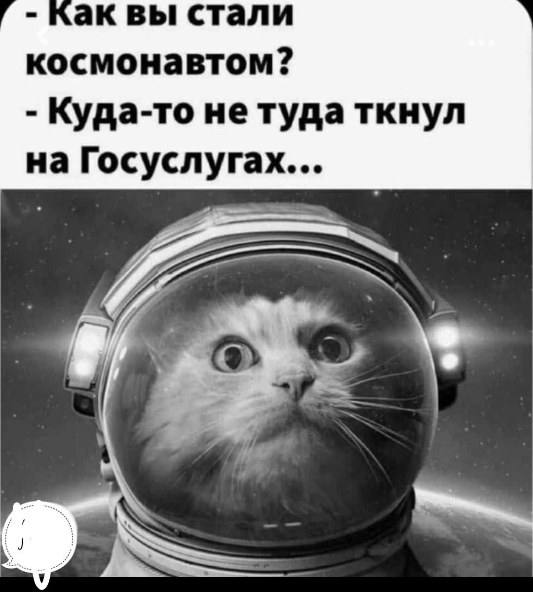 космонавтом Куда то не туда ткнул на Госуслугах