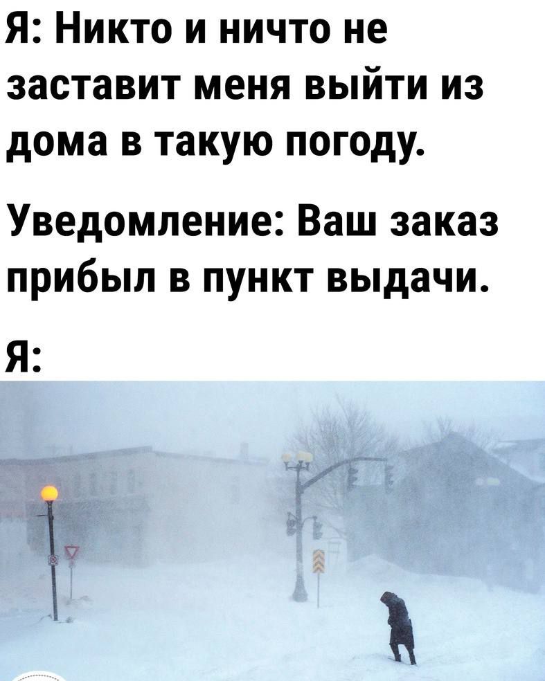 Я Никто и ничто не заставит меня выйти из дома в такую погоду Уведомление Ваш заказ прибыл в пункт выдачи Я