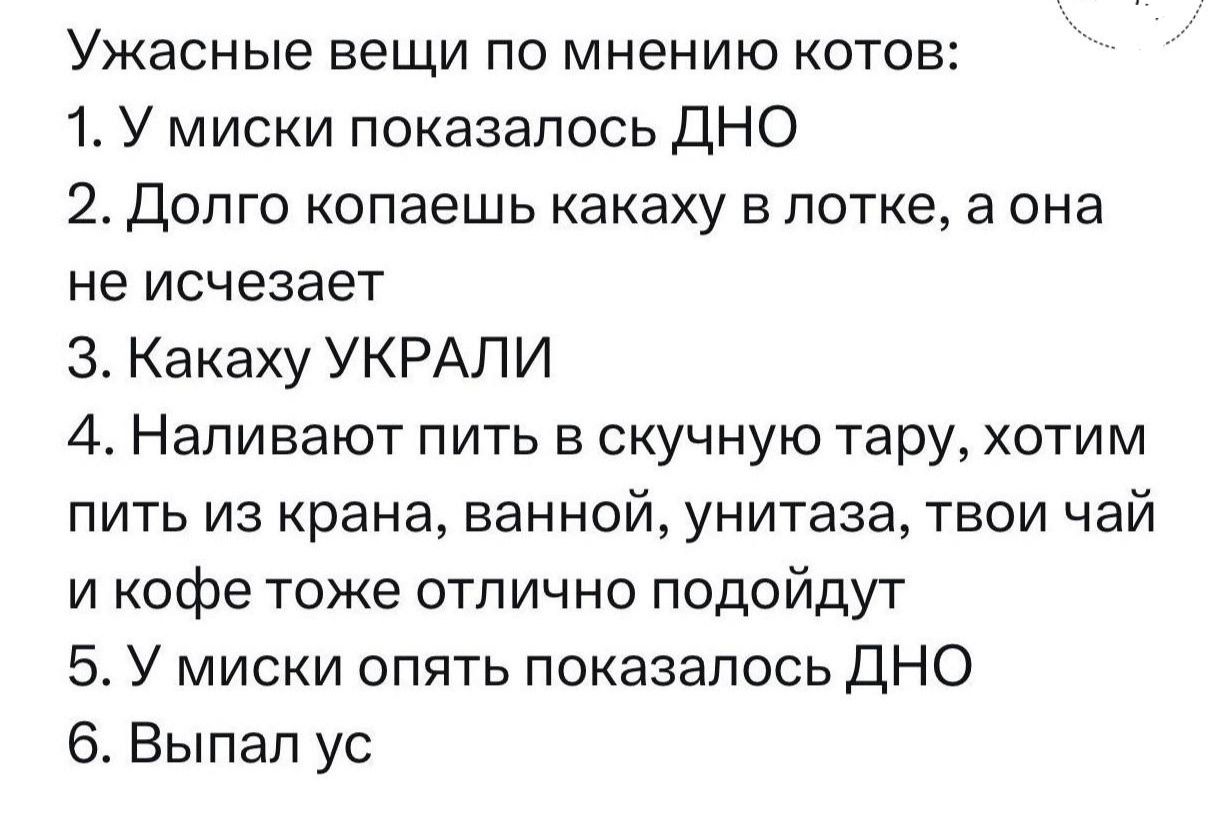 Ужасные вещи по мнению котов 1 У миски показалось ДНО 2 Долго копаешь какаху в лотке а она не исчезает З Какаху УКРАЛИ 4 Наливают пить в скучную тару хотим пить из крана ванной унитаза твои чай и кофе тоже отлично подойдут 5 У миски опять показалось ДНО 6 Выпал ус