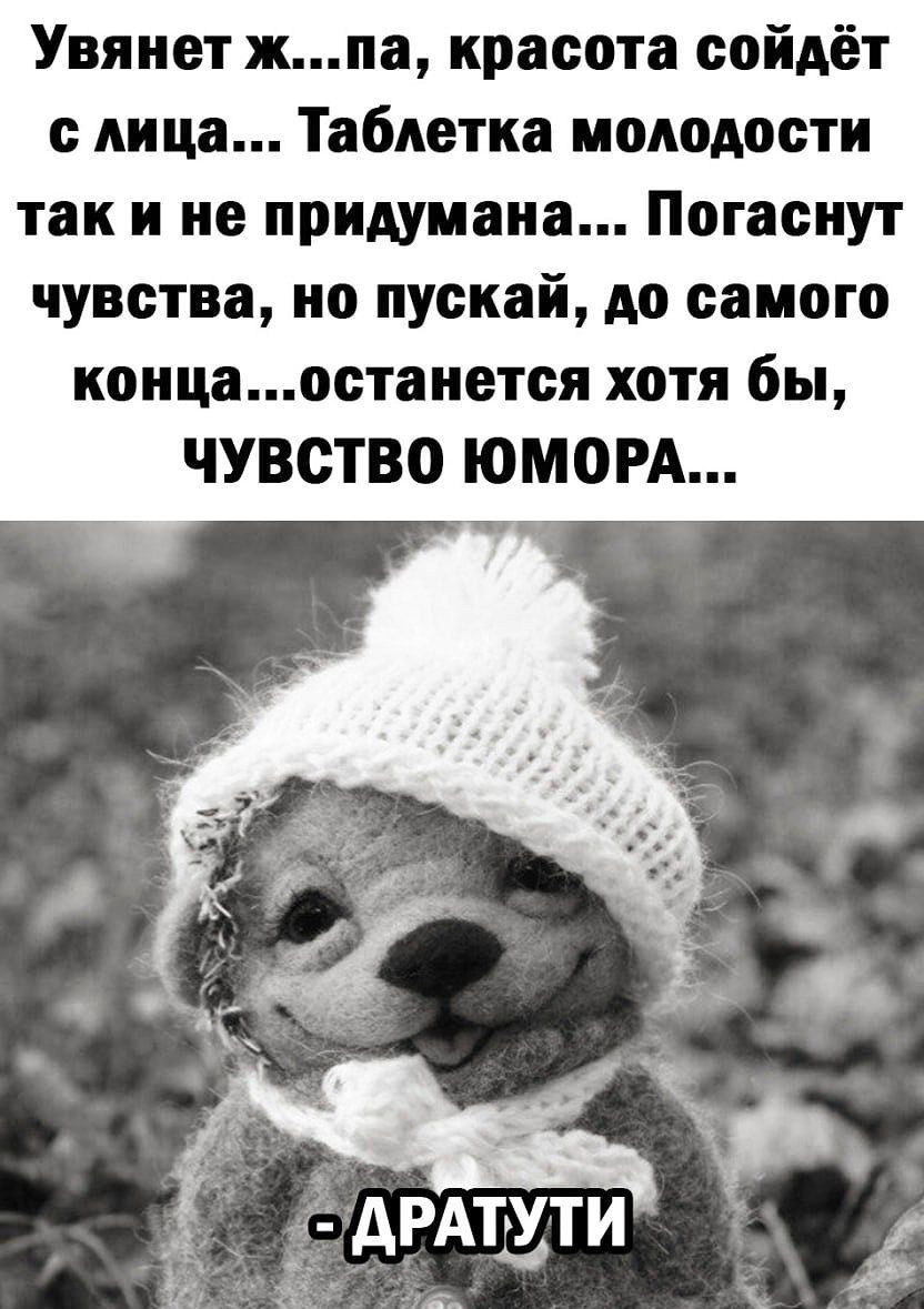 Увянет жпа красота сойдёт м1 ца Таблетка молодости так и не придумана Погасиут чувства по пускай до самого концаостанется хотя бы ЧУВСТВО ЮМОРА АРА здти