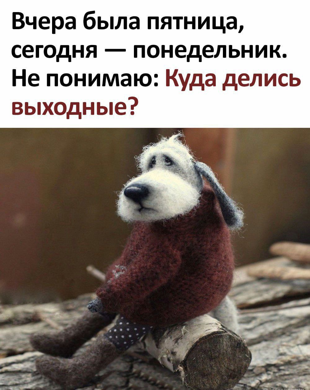 Вчера была пятница сегодня понедельник Не понимаю Куда делись выходные