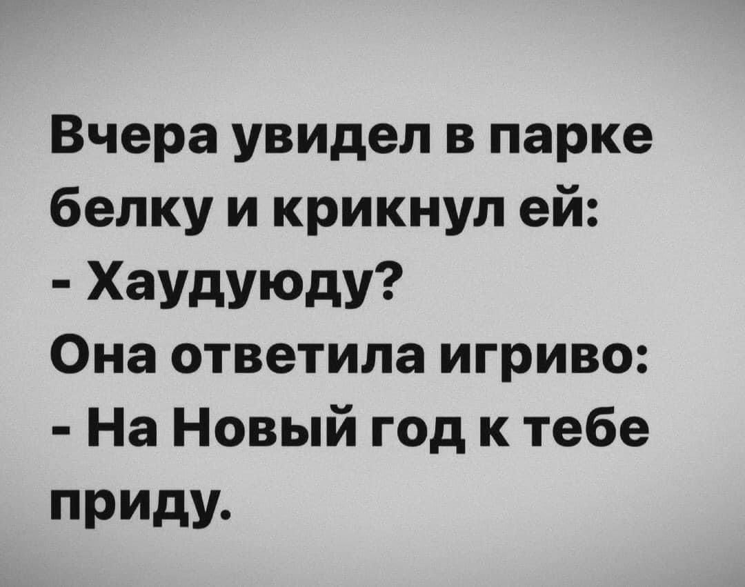 Вчера увидел в парке белку и крикнул ей ХаудУЮду Она ответила игриво На Новый год к тебе приду