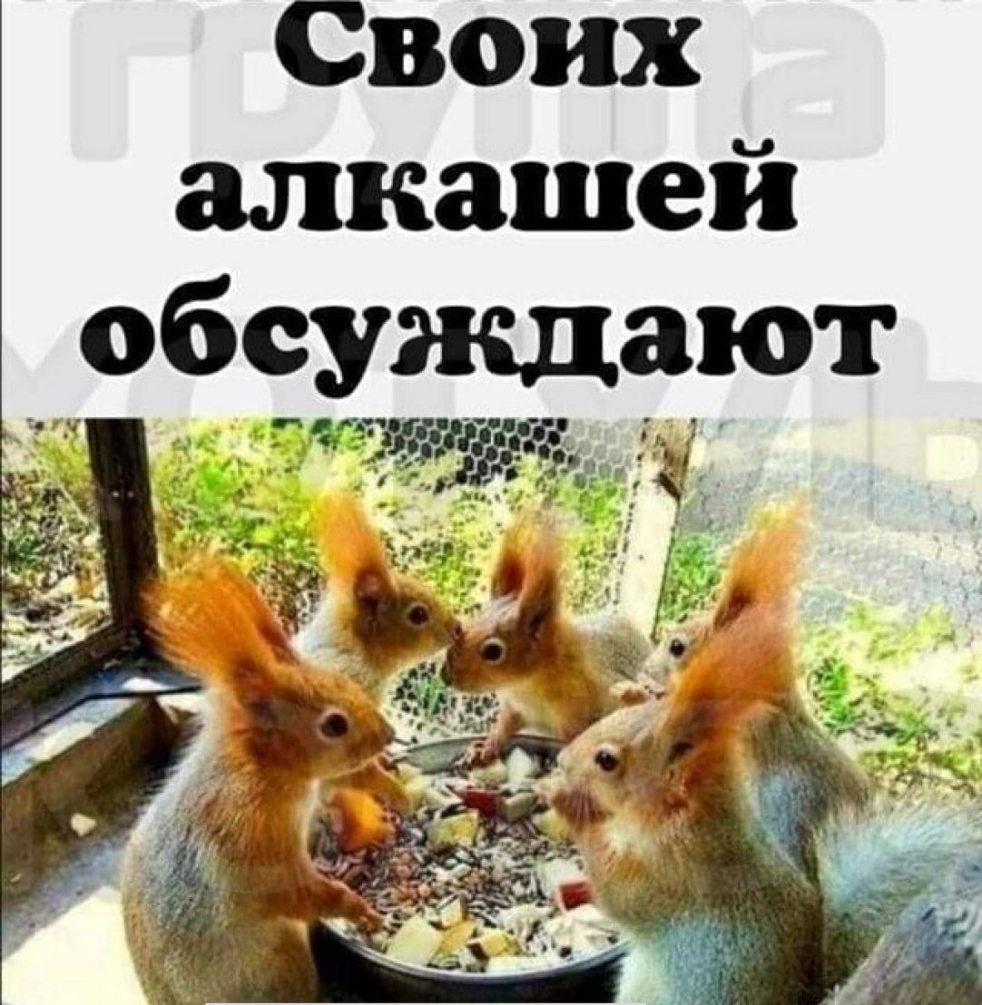 Своих алкашей обсуждают 3 а
