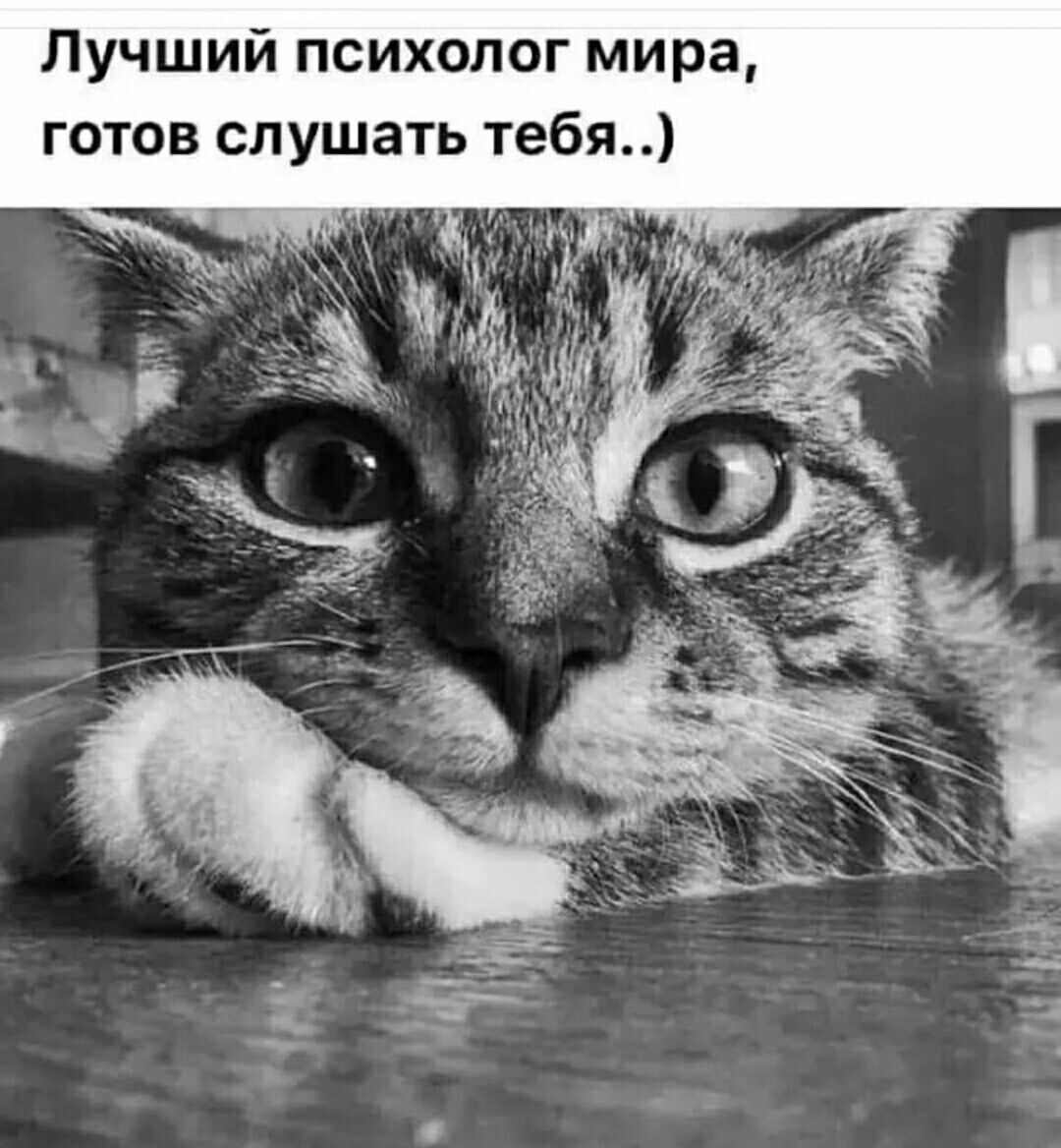 Лучший психолог мира готов слушать тебя