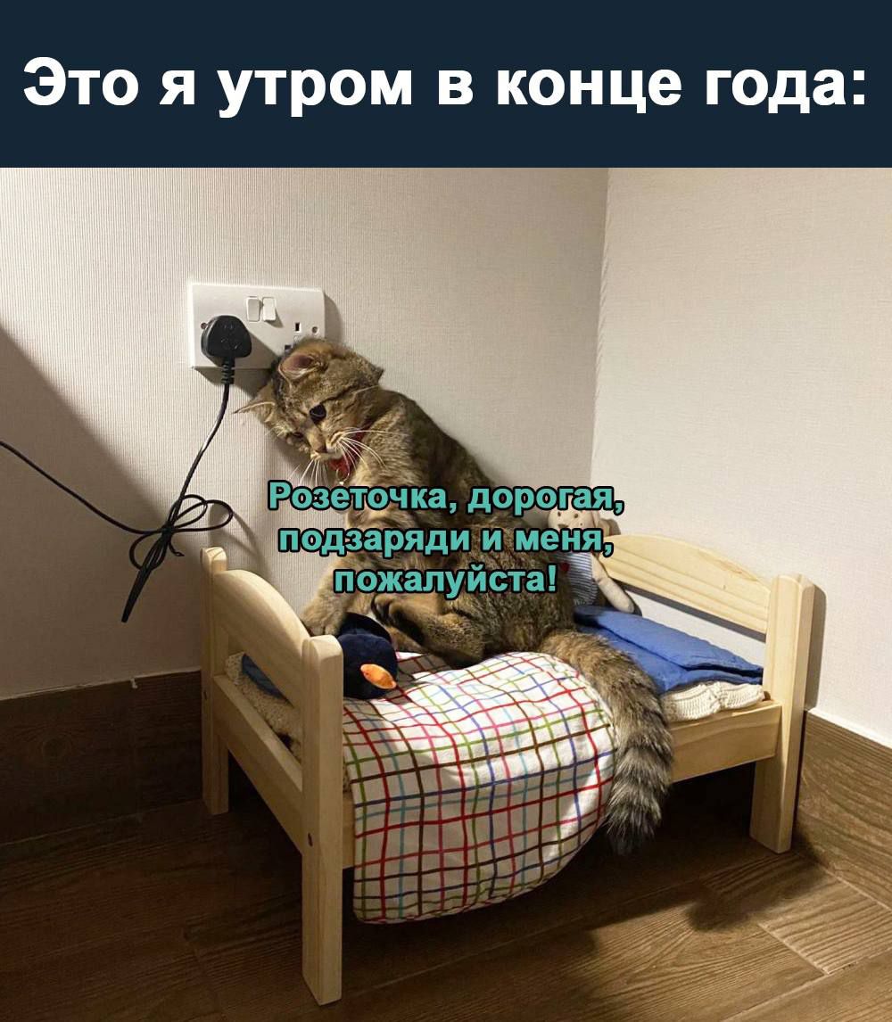 ЭТО Я УТРОМ В конце года