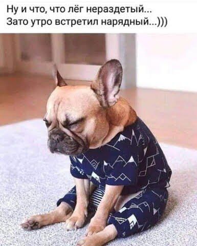 Ну и что что лёг нераздетый Зато утро встретил нарядный