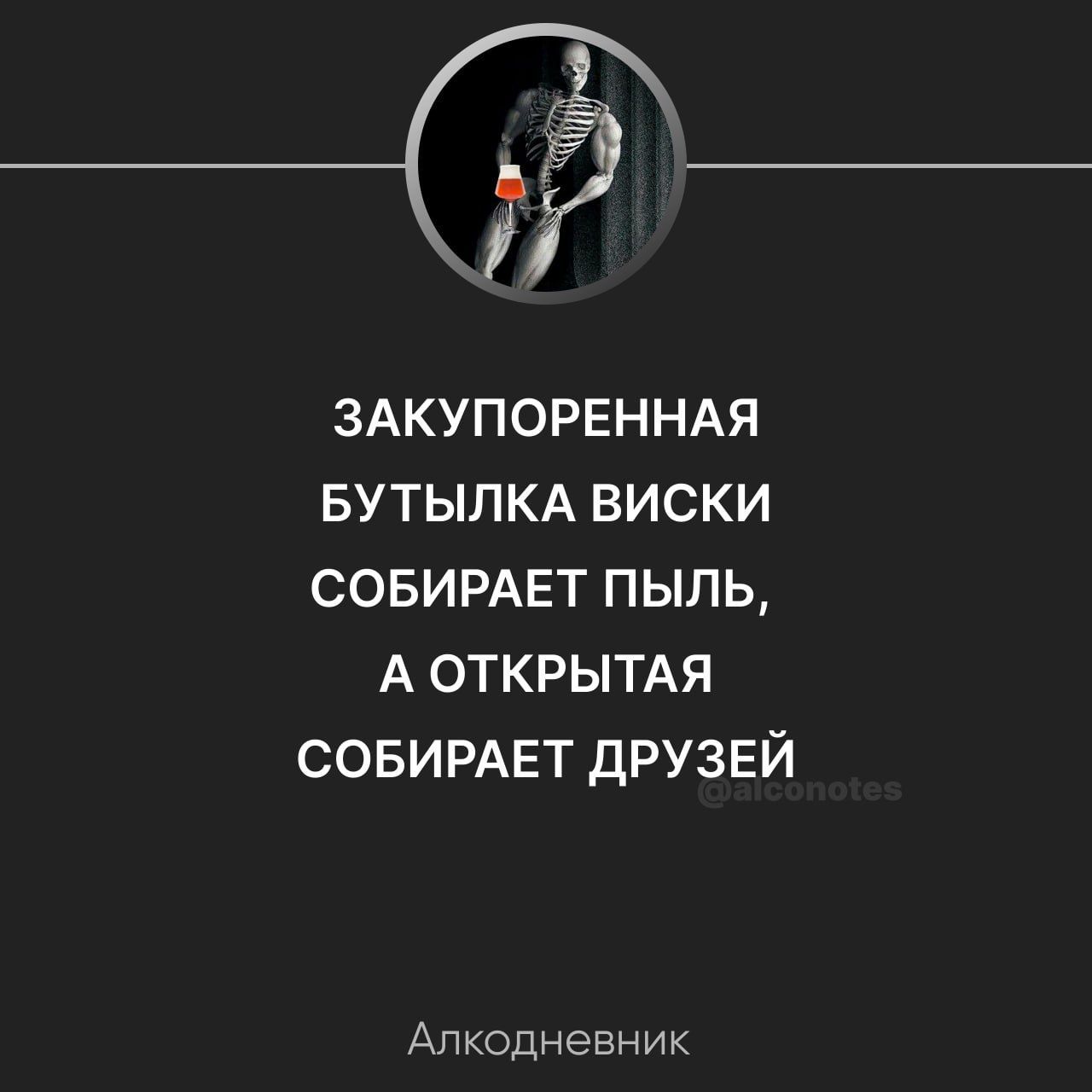 ЗАКУПОРЕННАЯ БУТЫЛКА ВИСКИ СОБИРАЕТ ПЫЛЬ А ОТКРЫТАЯ СОБИРАЕТ ДРУЗЕЙ Апкодневник