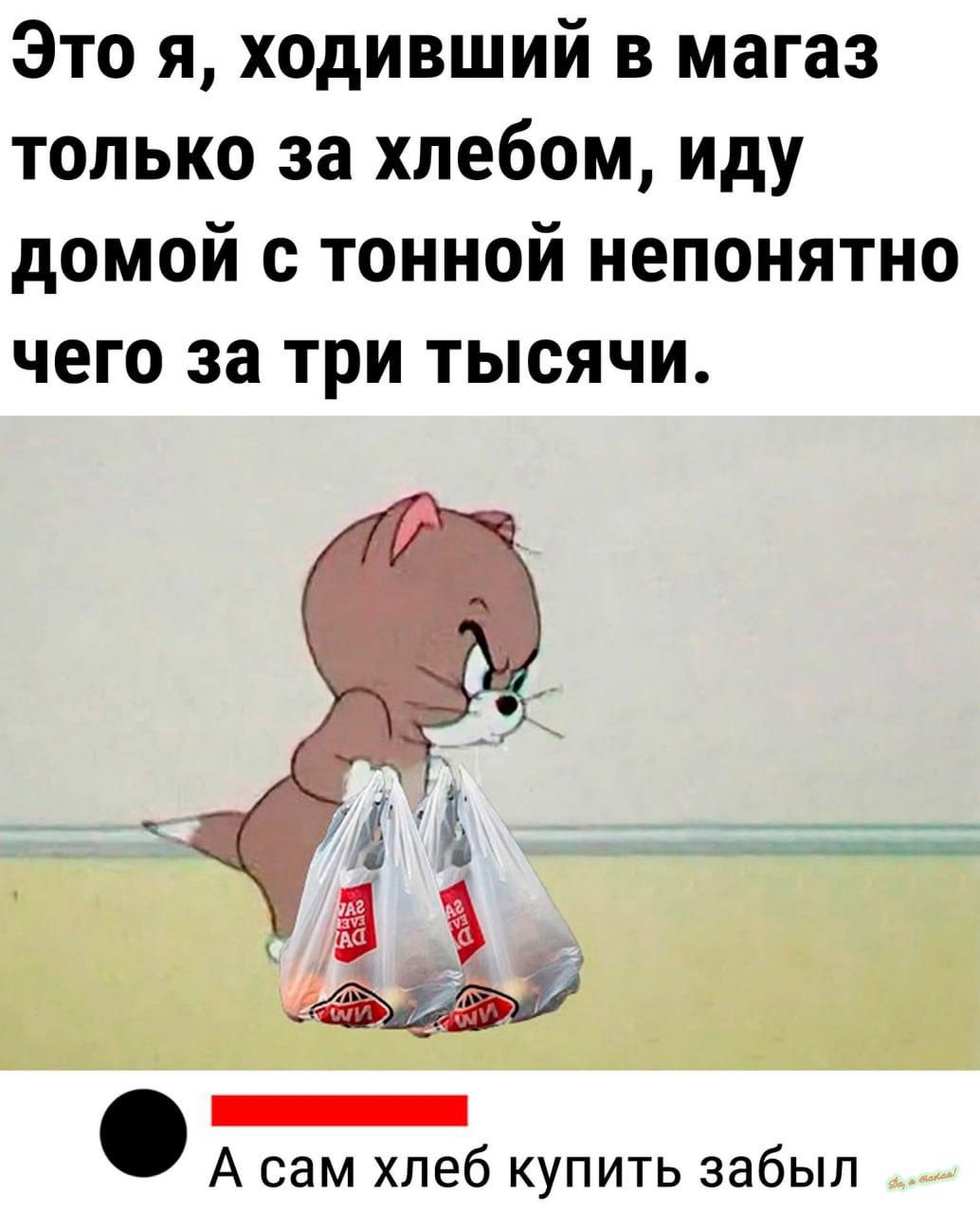 Это я ходивший в магаз только за хлебом иду домой с тонной непонятно ЧЕГО за три ТЫСЯЧИ А сам хлеб купить забыл