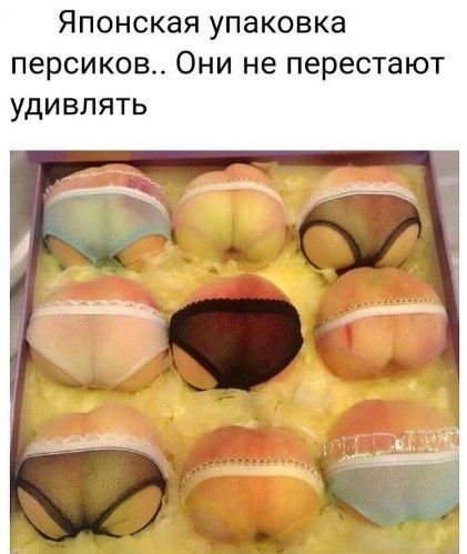 Японская упаковка персиков Они не перестают удивлять