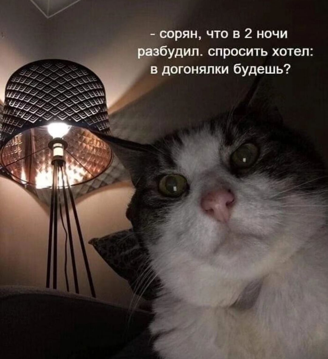 и что в 2 ночи удип спросить хотел в дргоияпки будешь