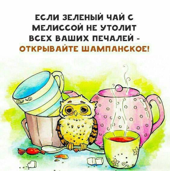 если зелвныи чдй с мплиссои н утолит всех вдших пвчдлни открывдйт шдмпднскош