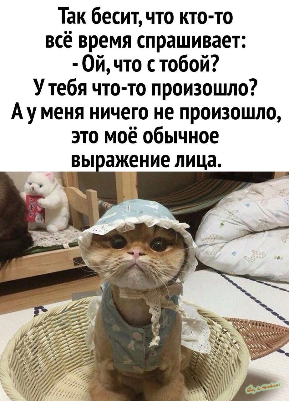 Так бесит что кто то всё время спрашивает Ой что с тобой Утебя что то произошло Ау меня ничего не произошло это моё обычное вы ажение лица