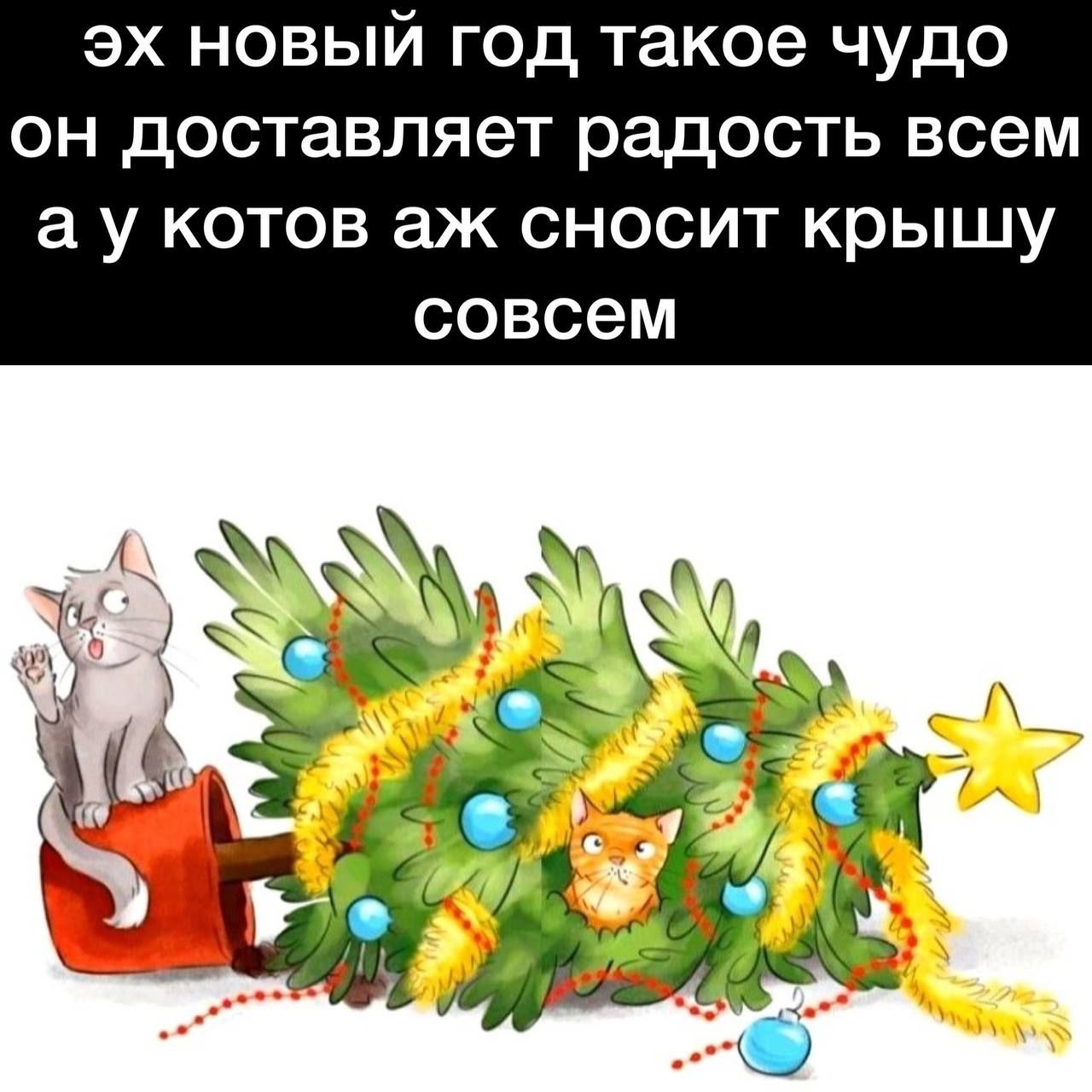 эх новый год такое чудо он доставляет радость всем а у котов аж сносит крышу совсем