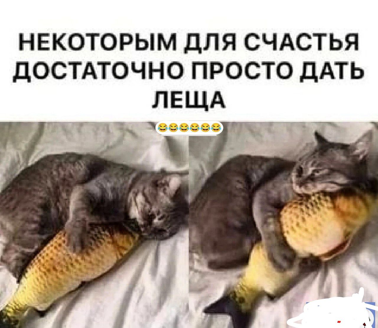 НЕКОТОРЫМ дЛЯ СЧАСТЬЯ дОСТАТОЧНО ПРОСТО ДАТЬ ЛЕЩА