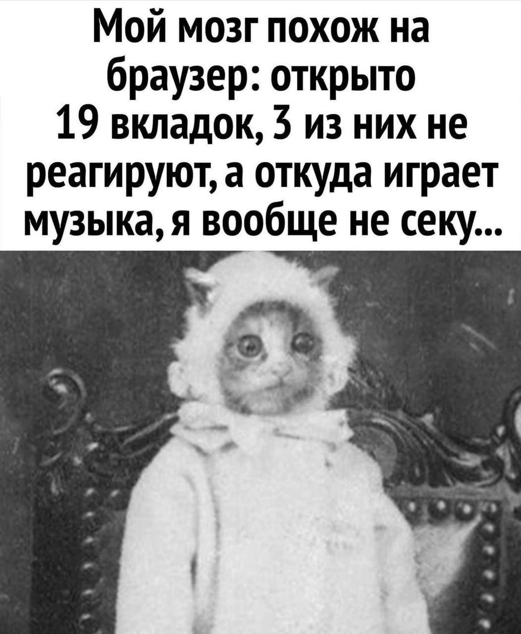 Мой мозг похож на браузер открыто 19 вкладок 3 из них не реагируют а откуда играет музыкая вообще не секу