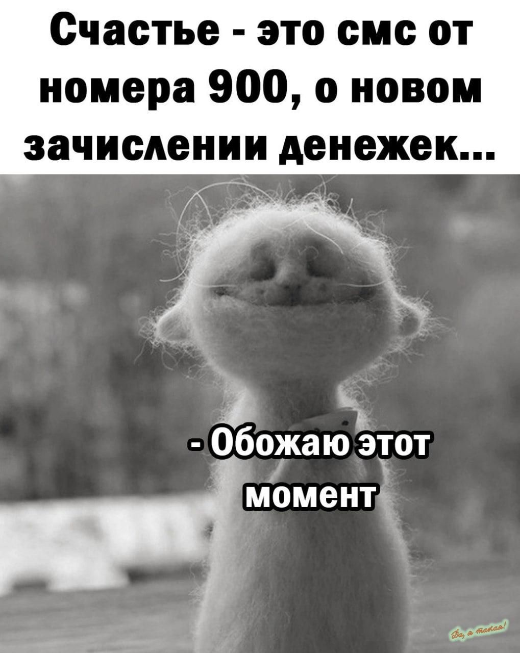 Счастье это еме от номера 900 о новом зачислении денежек 3 1 Обожаю эуот моменті