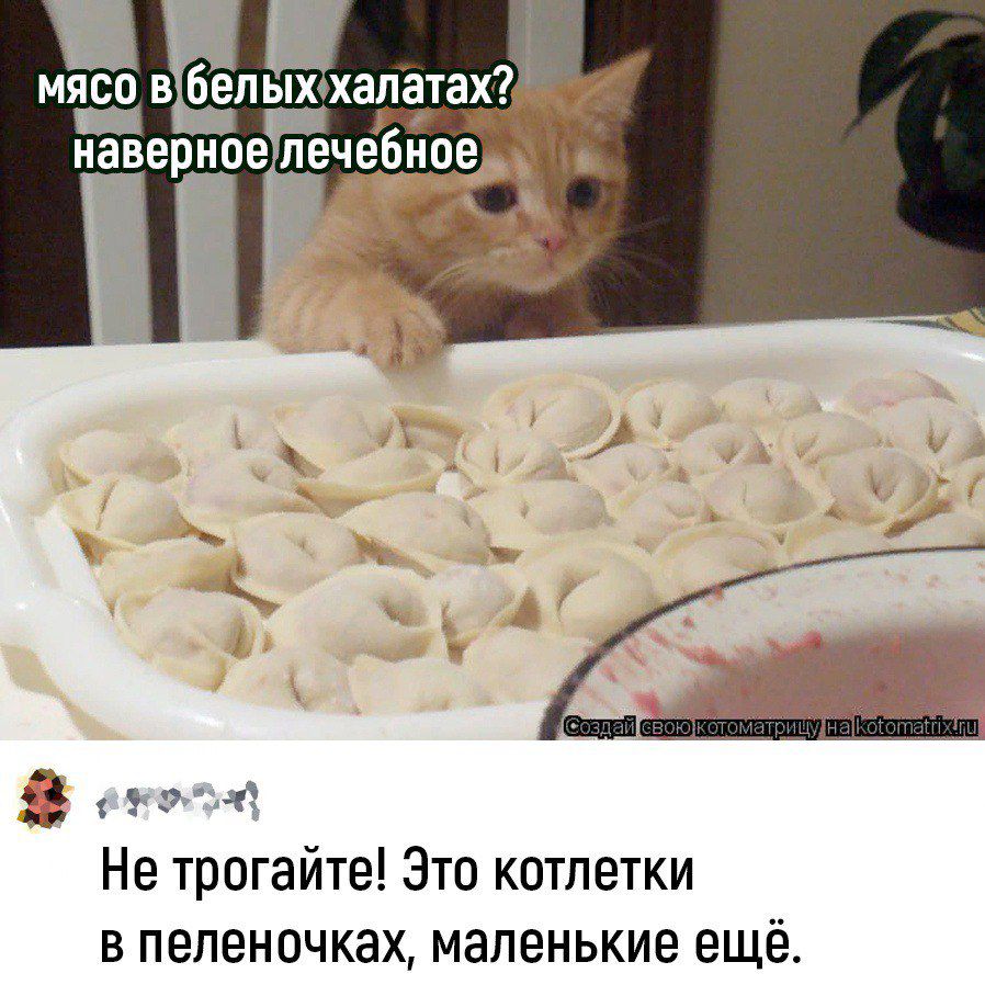 33 43 Не трогайте Это котлетки в пепеночках маленькие ещё