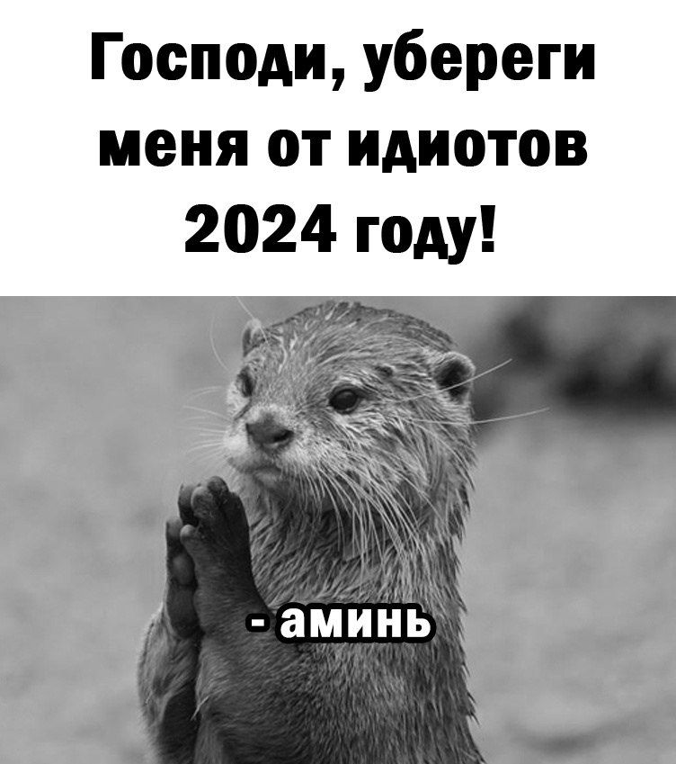 Господи уберет меня от идиотов 2024 году аминь